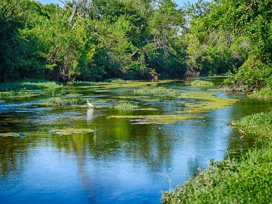 View of the San Gabriel River in Georgetown, TX